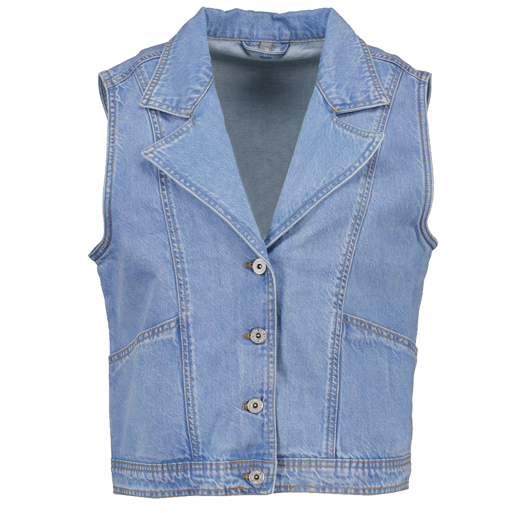 Gilet Blauw