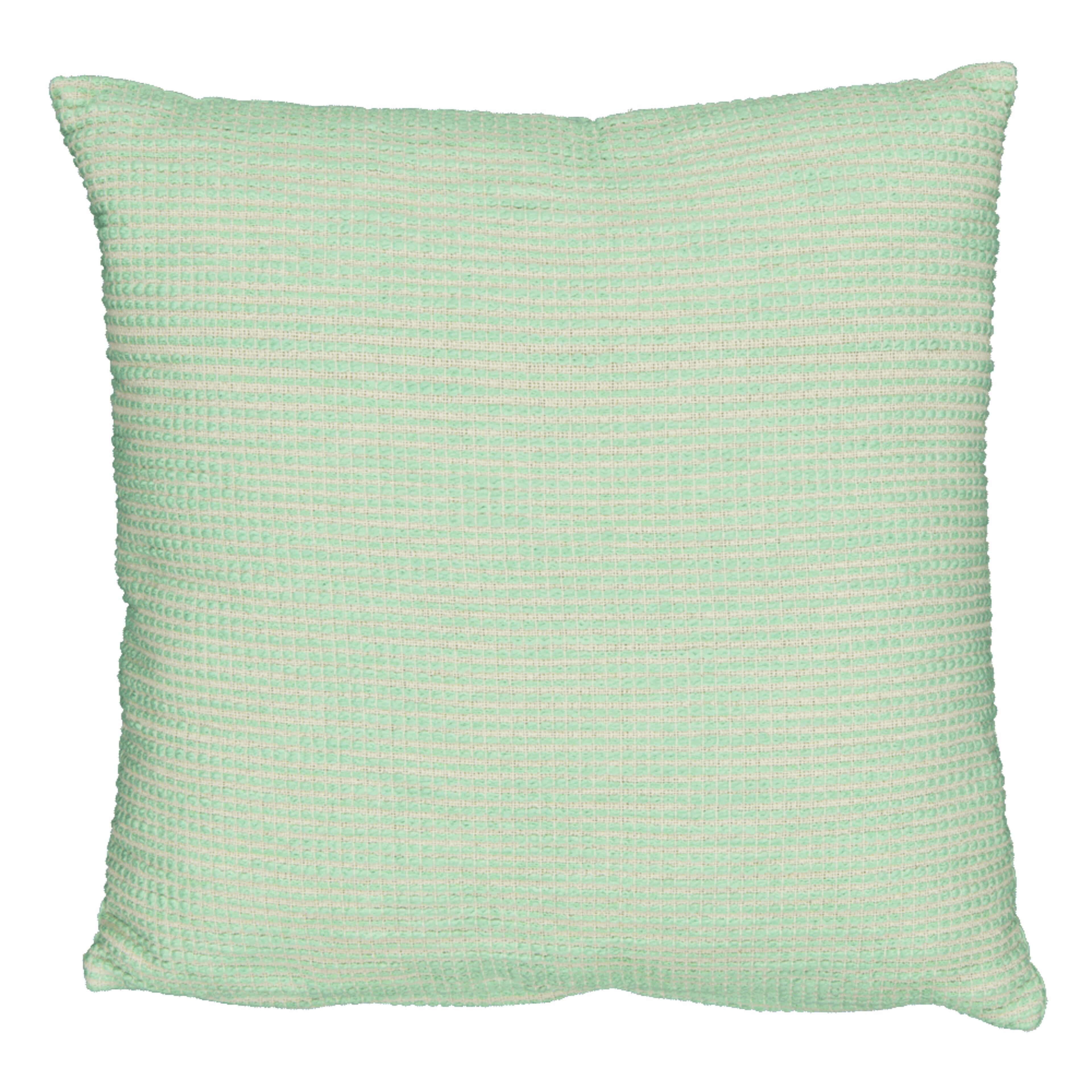 Coussin décoratif Vert