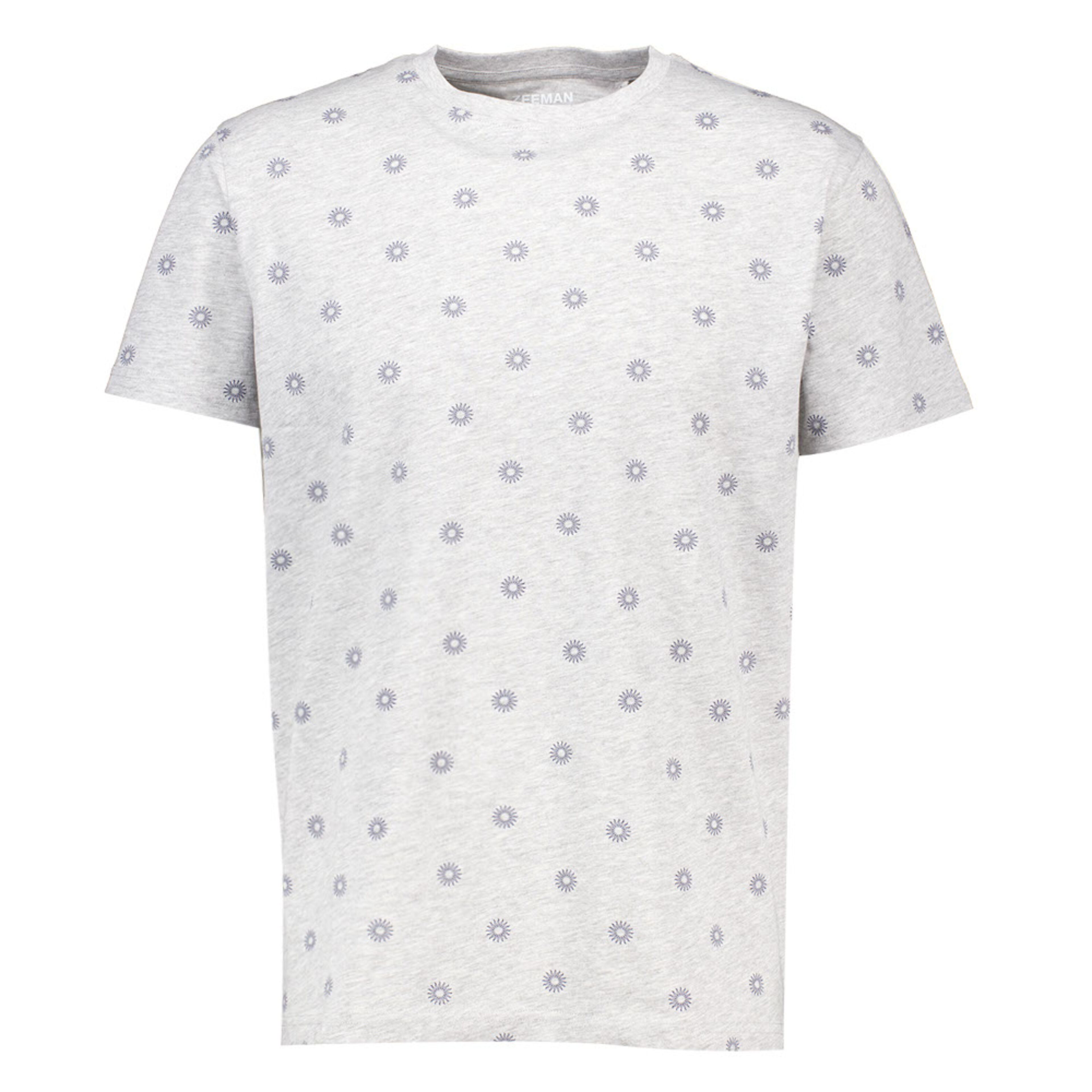 Tee-shirt Gris