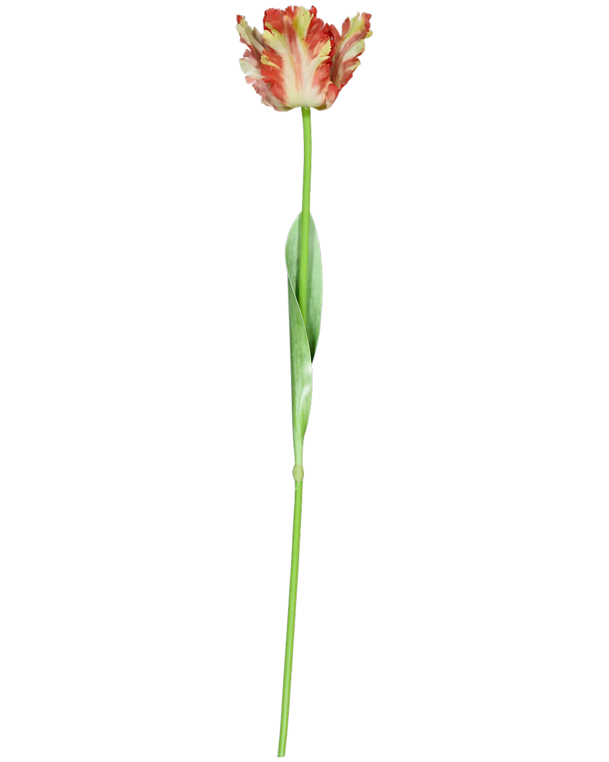 Fleurs artificielles - Multicolore