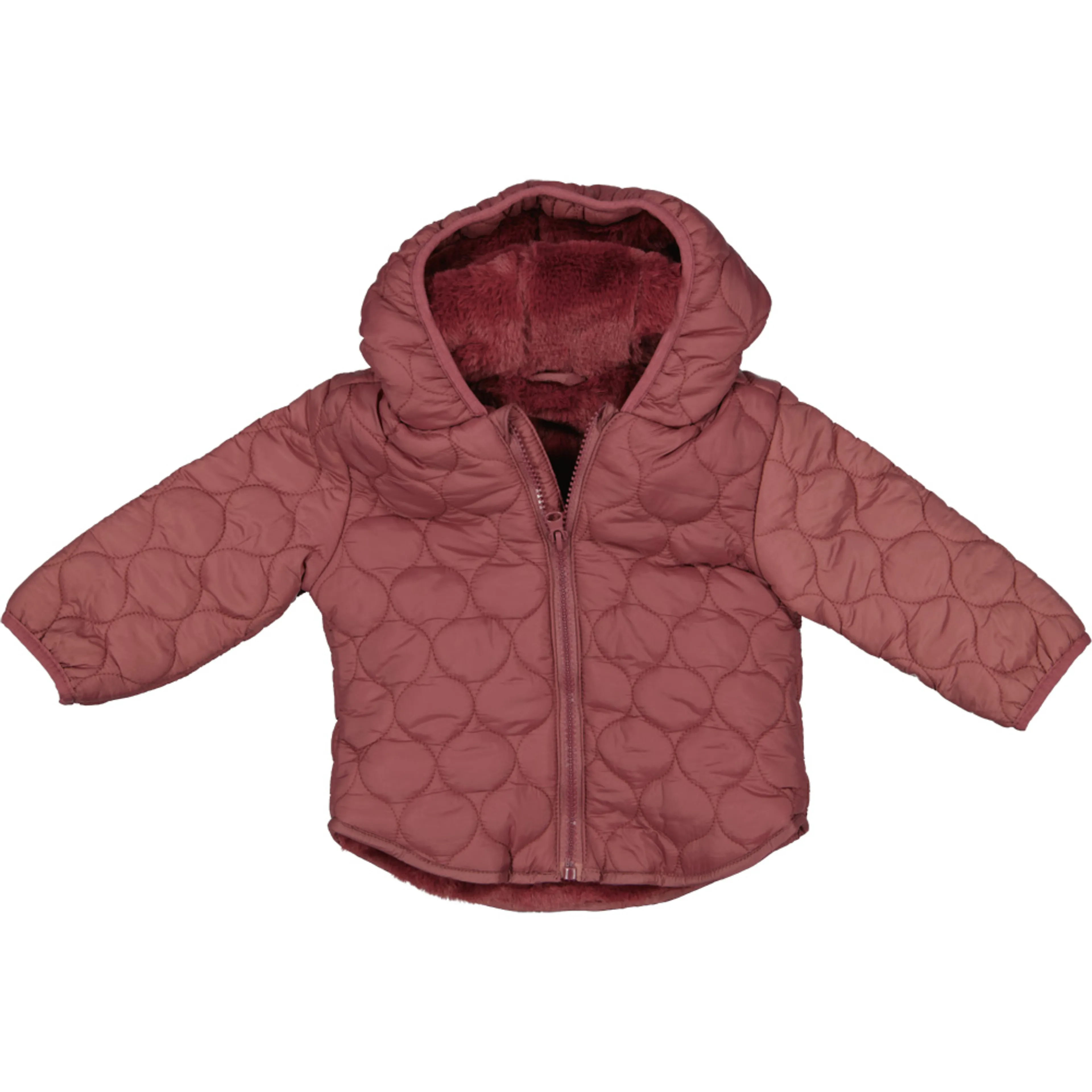 2008020337579_Front.jpg