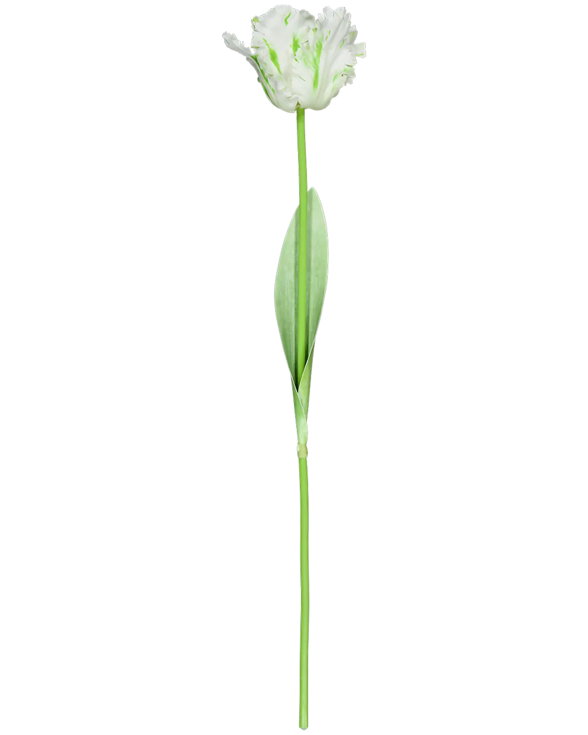 Fleurs artificielles - Blanc