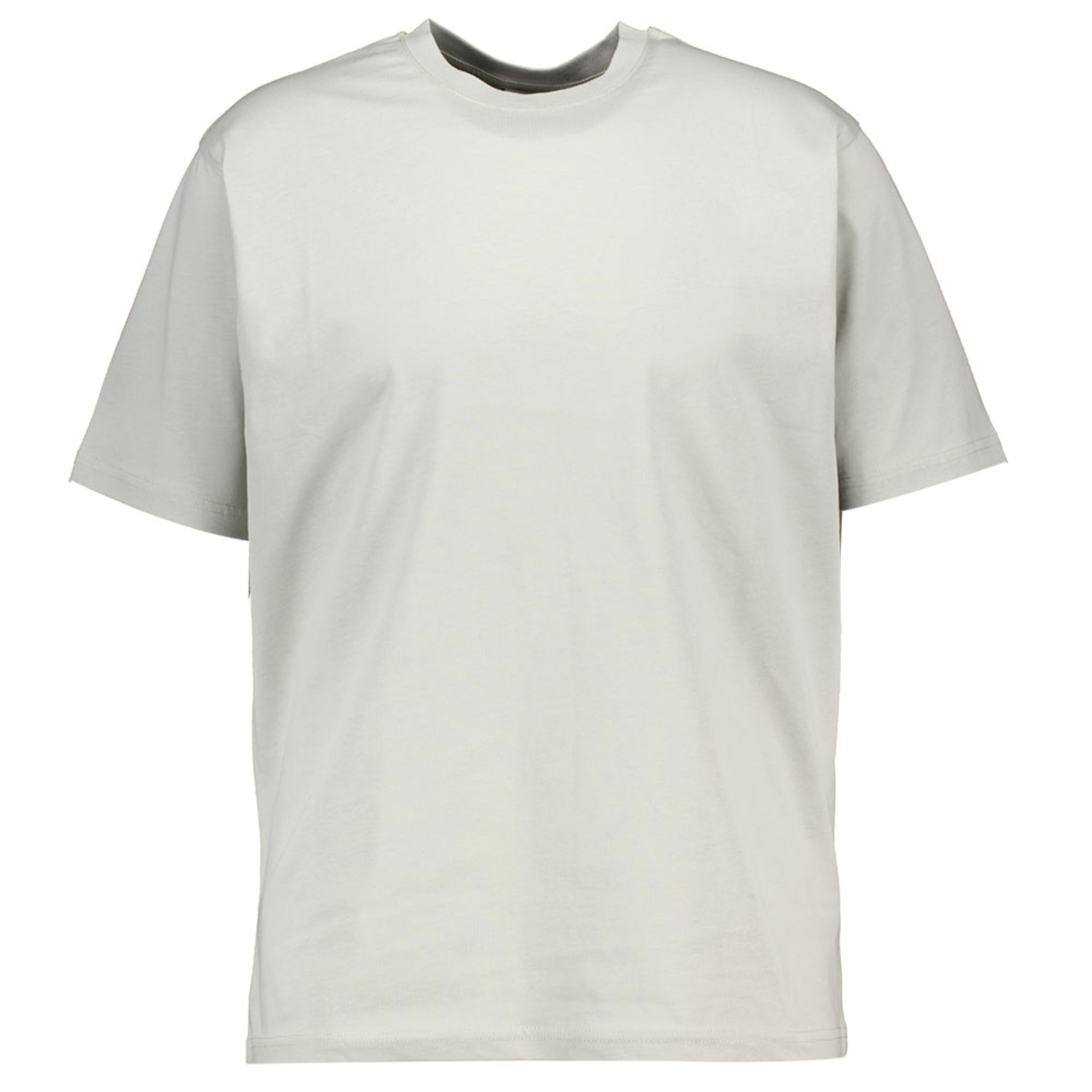 Camiseta Gris