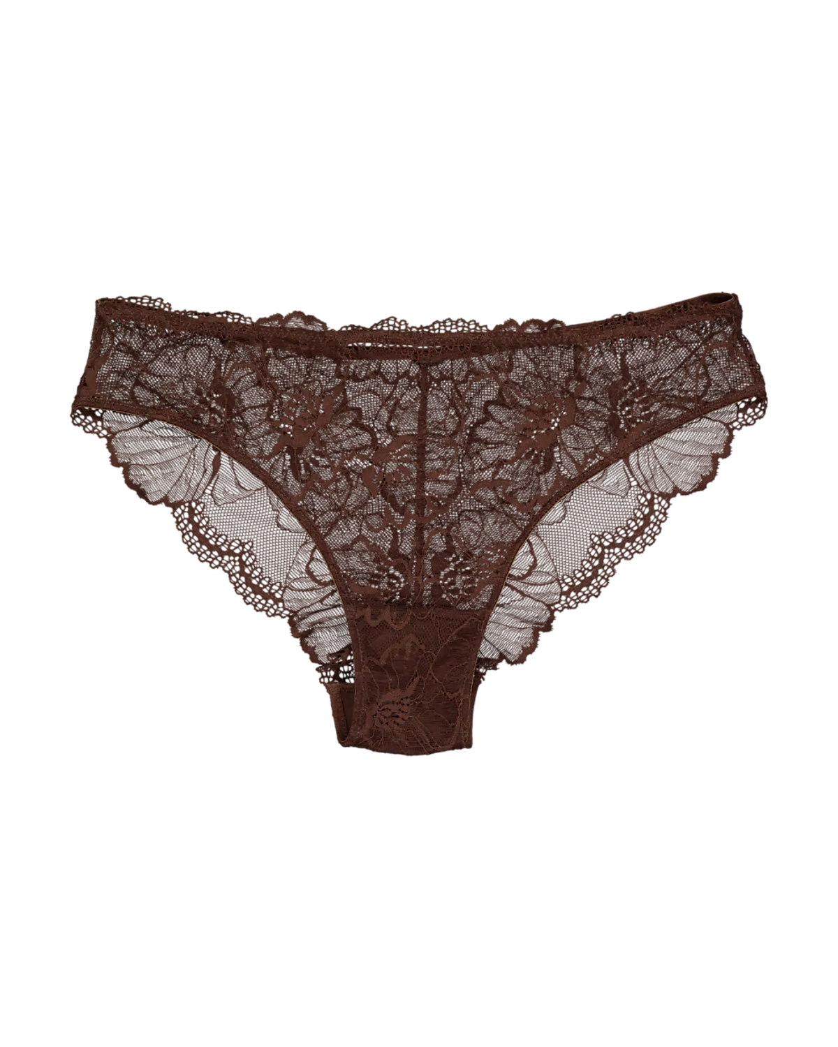 Brazilian - Bruin