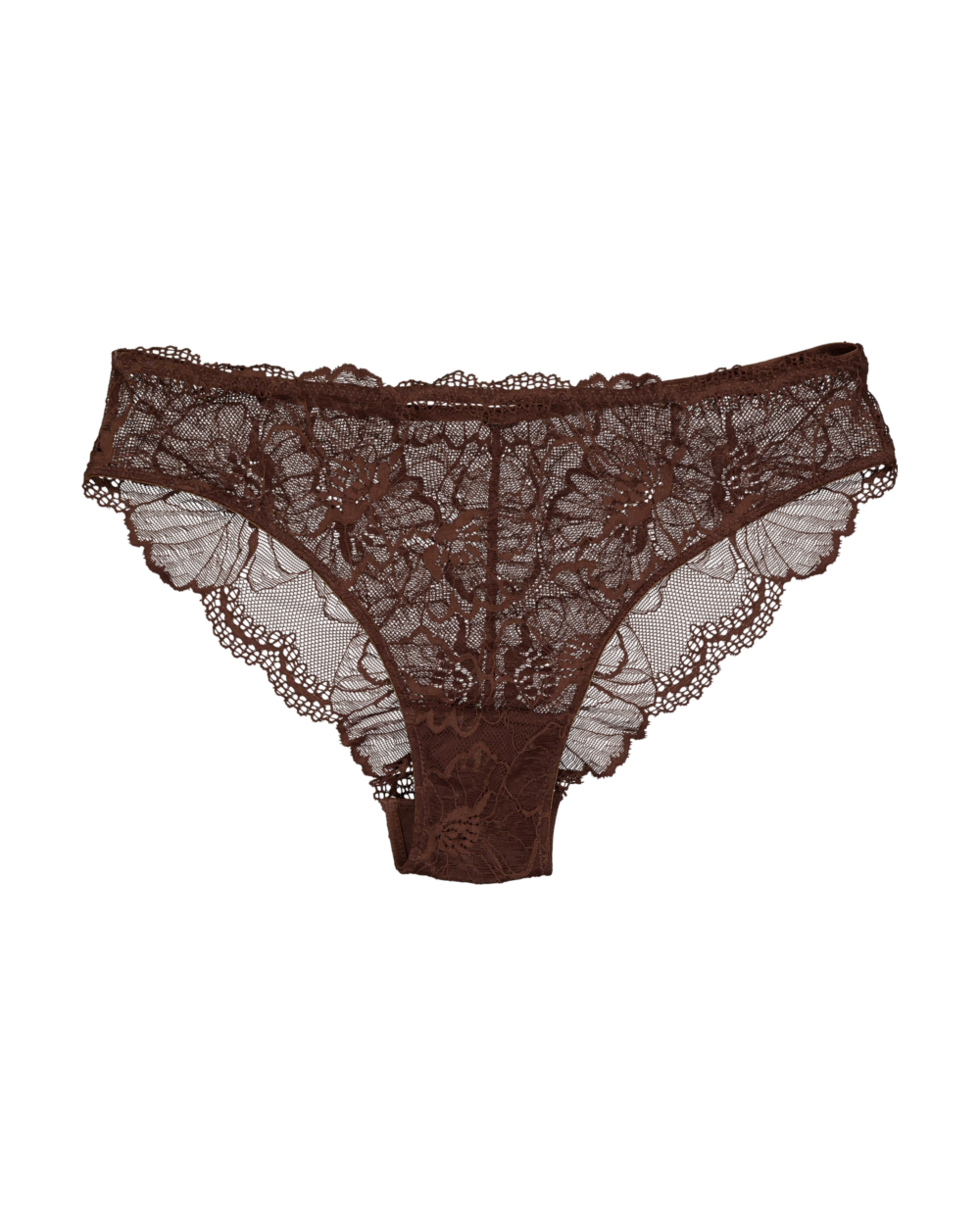 Brazilian - Bruin