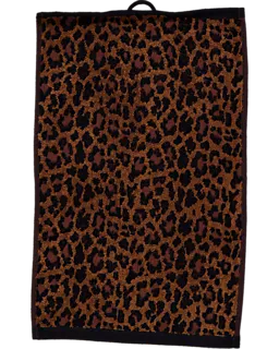 8720877377228_125047-2_Front_1.png