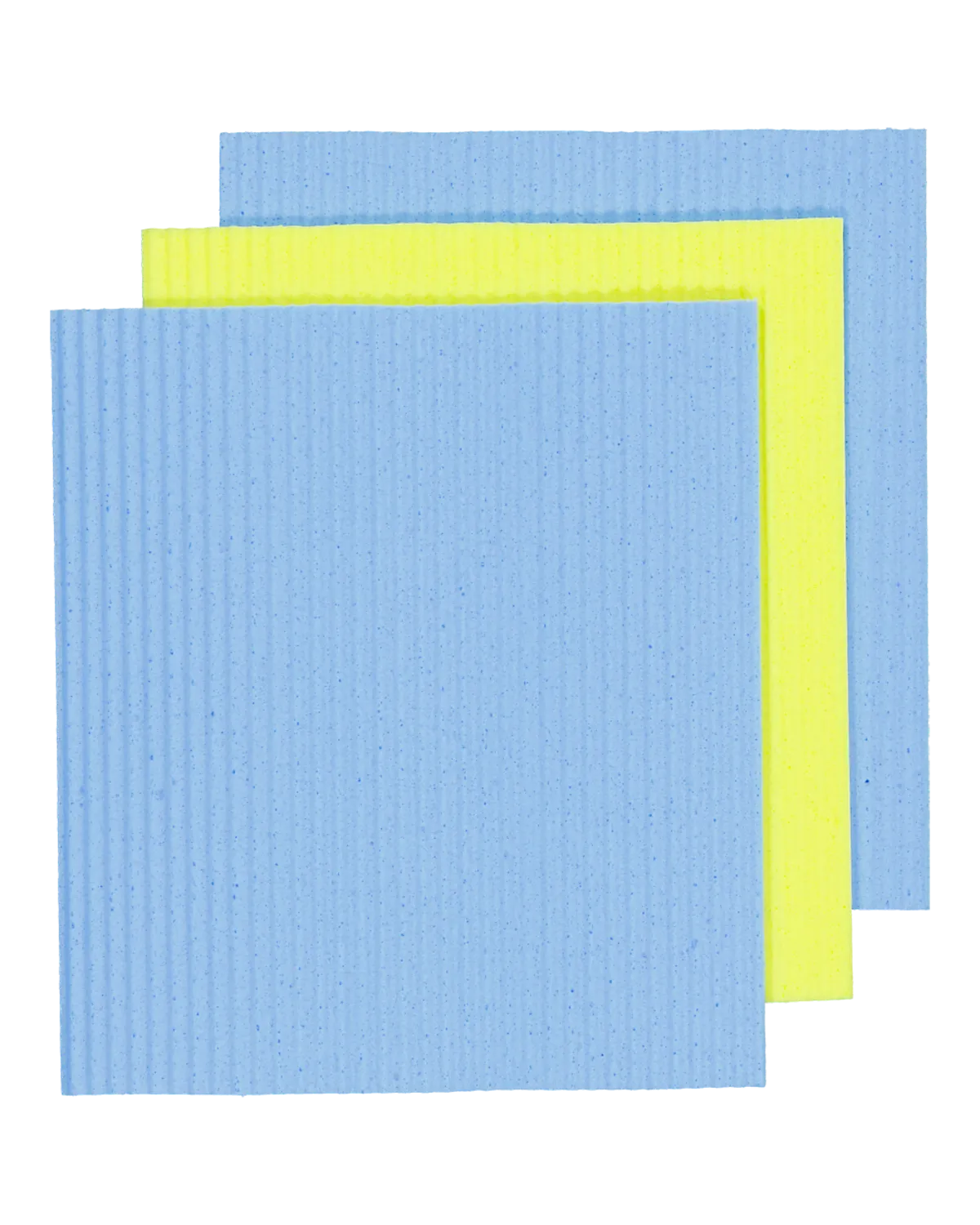 Éponge - Multicolore