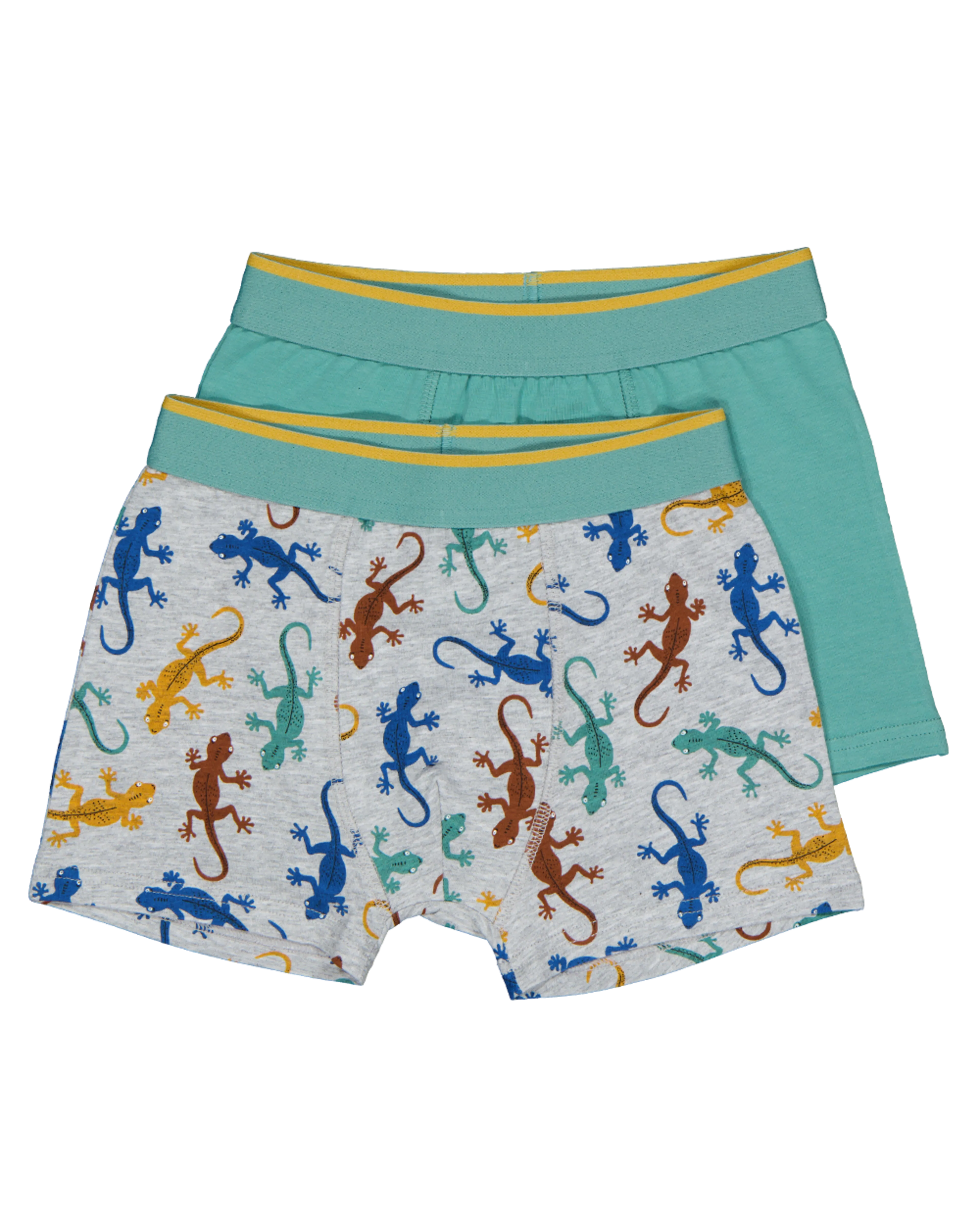 2011680955090_Front.png