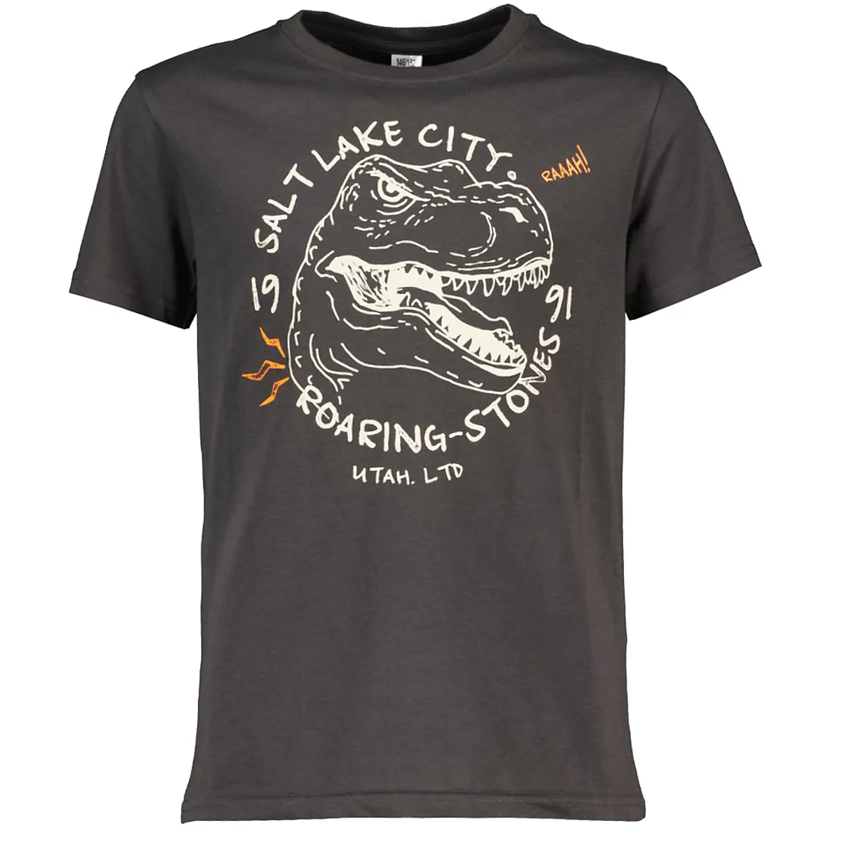 T-shirt - Grijs