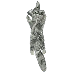 2099980975581_Front.png