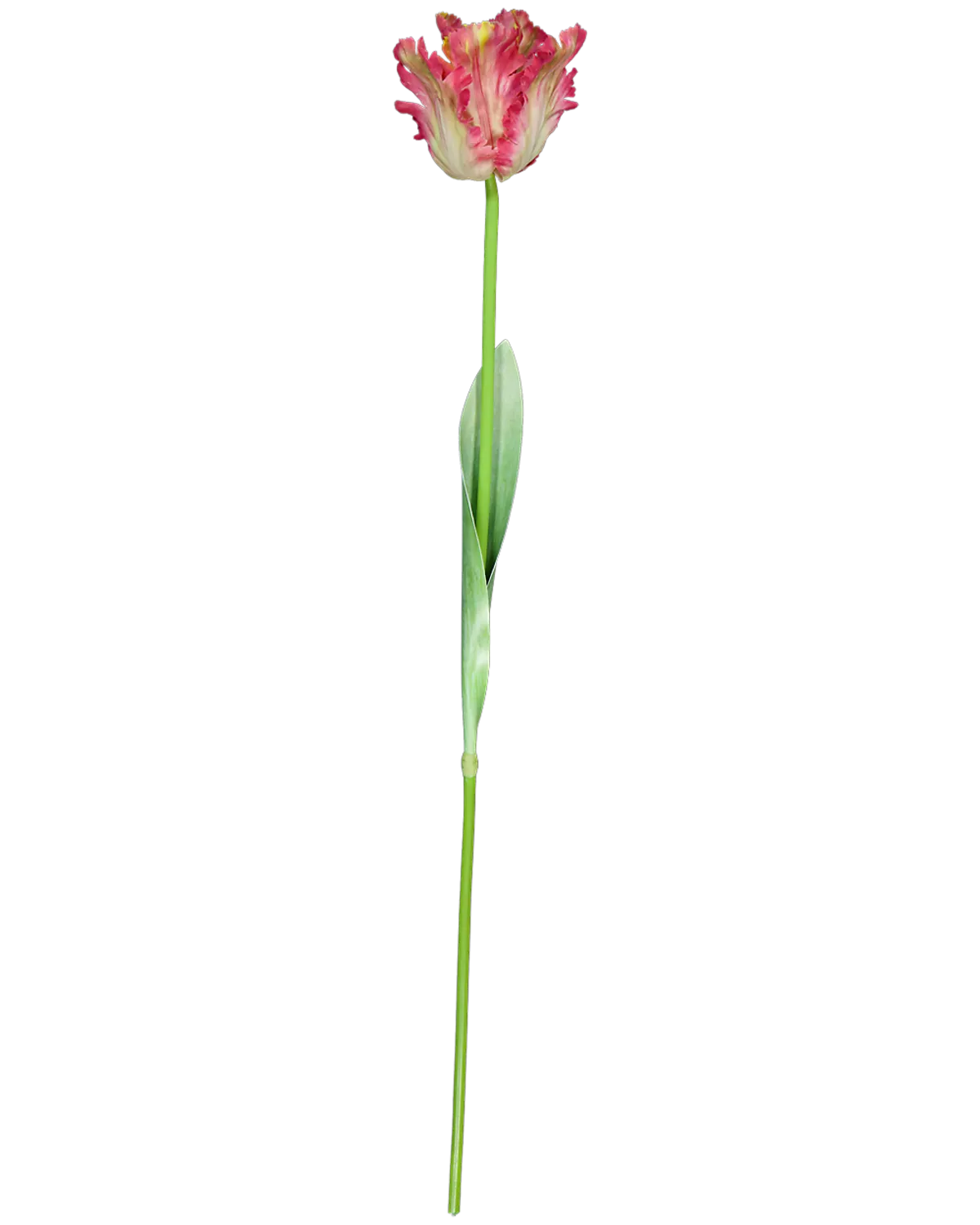 Fleurs artificielles - Multicolore