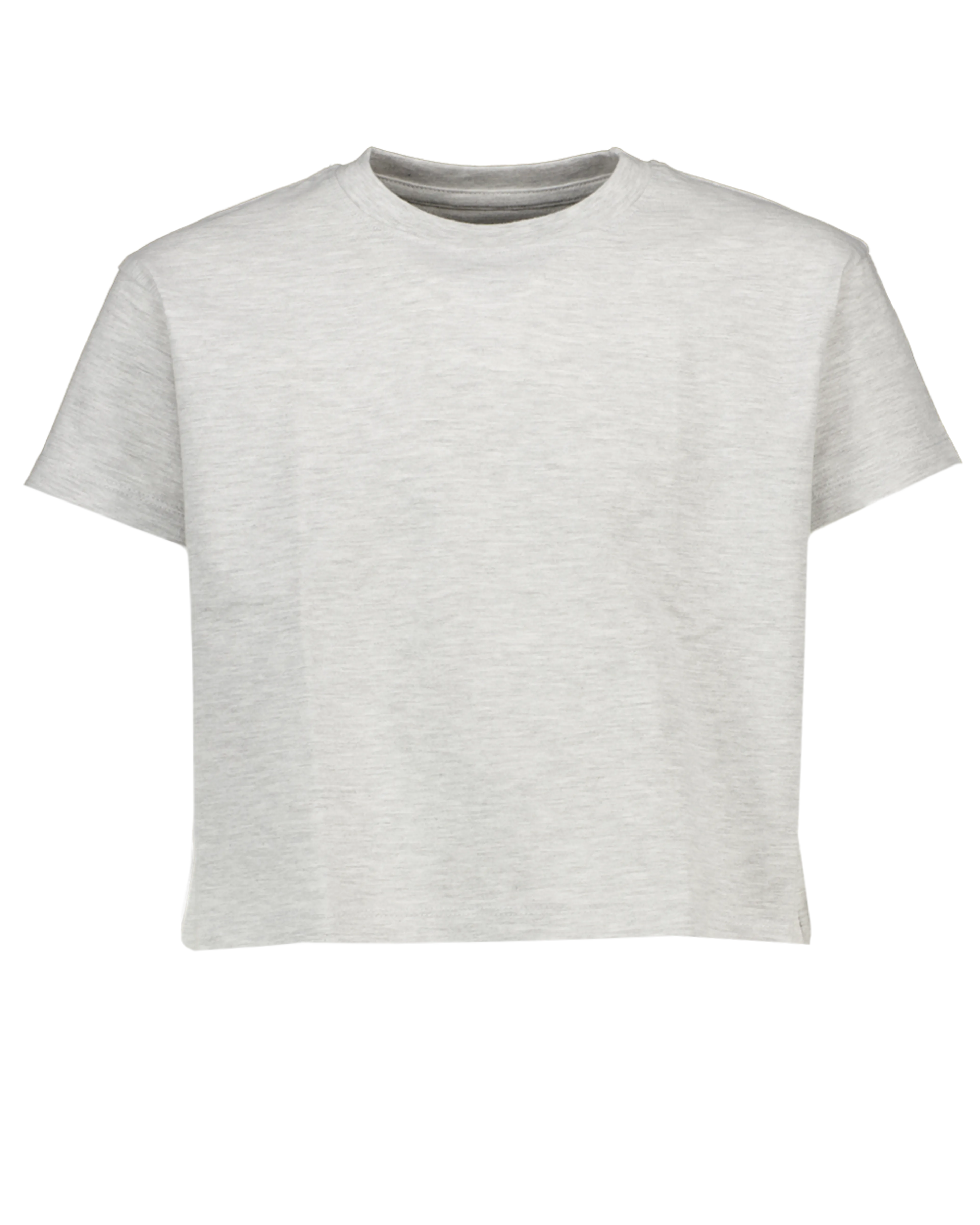 Camiseta - Gris