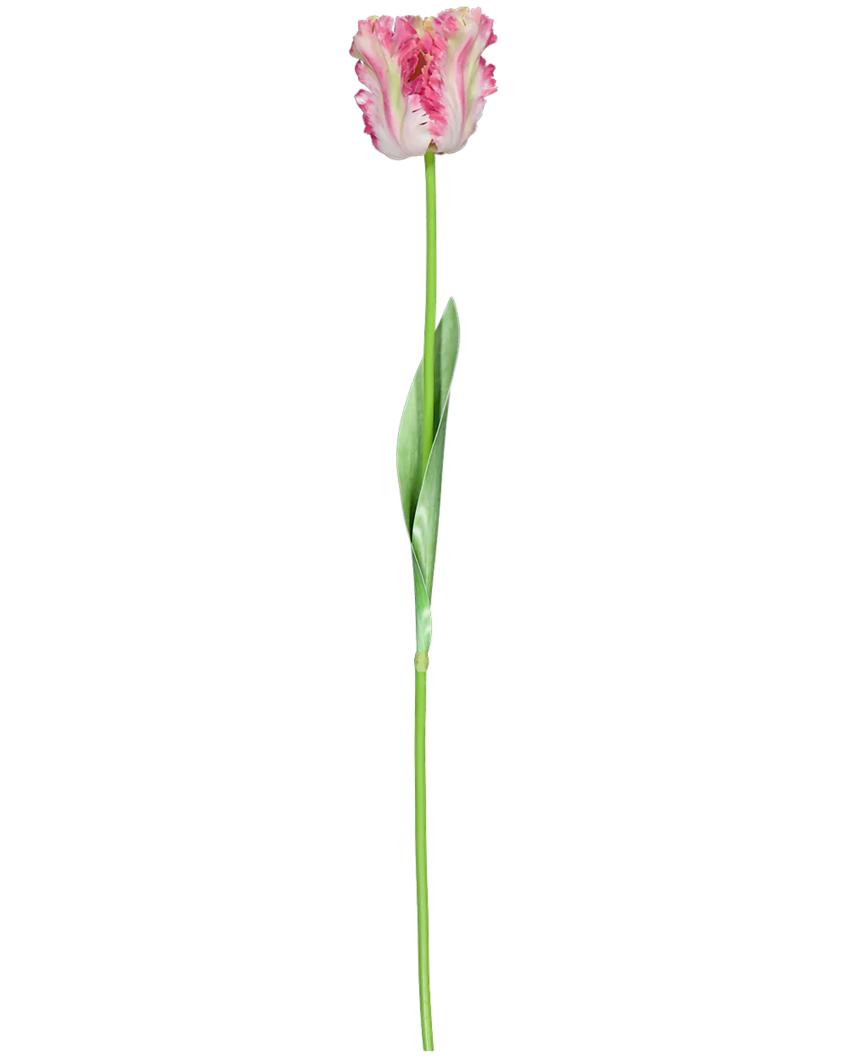 Fleurs artificielles - Multicolore