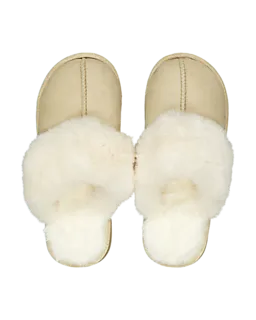 8720877347986_124504-1_Front_1.png