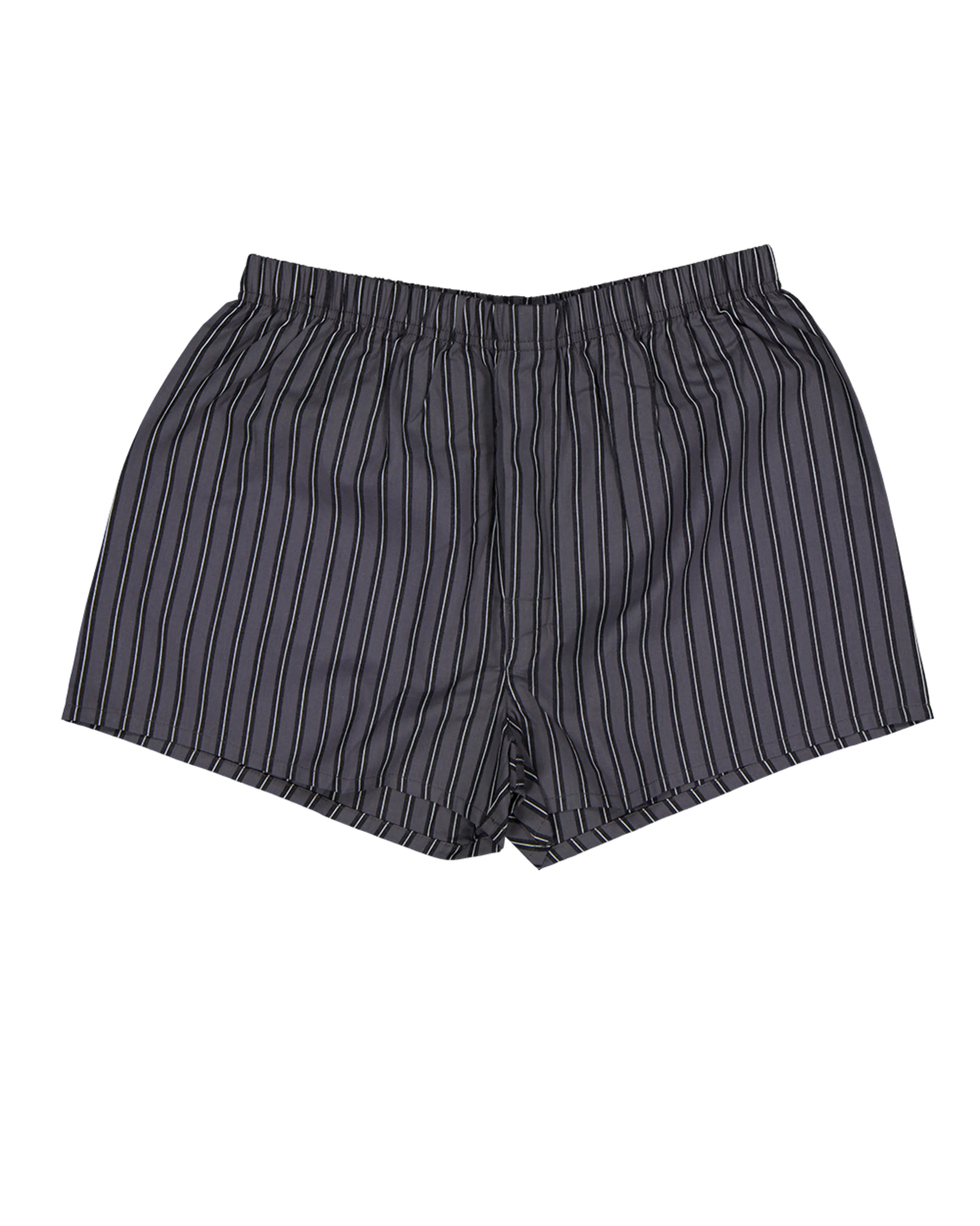 2020086981954_Front02.png