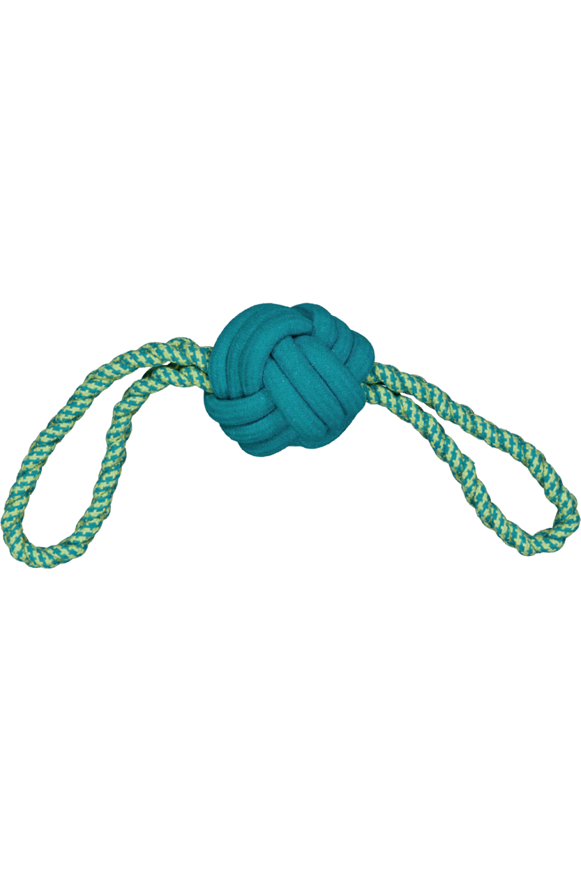 Honden-speeltouw - Blauw