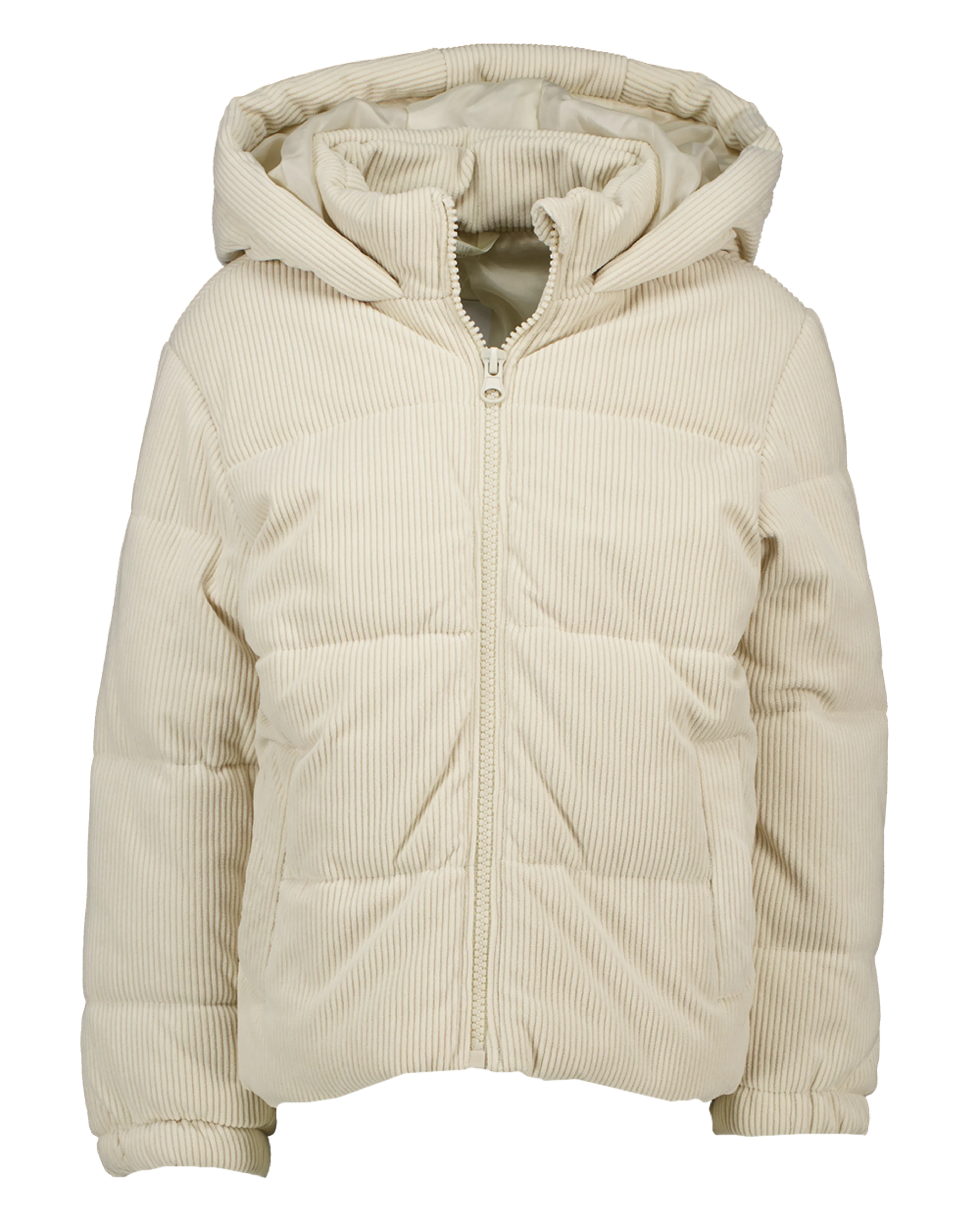 Jas - Beige