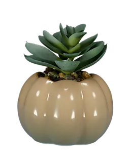 8720877338038_124325-1_Front_1.png