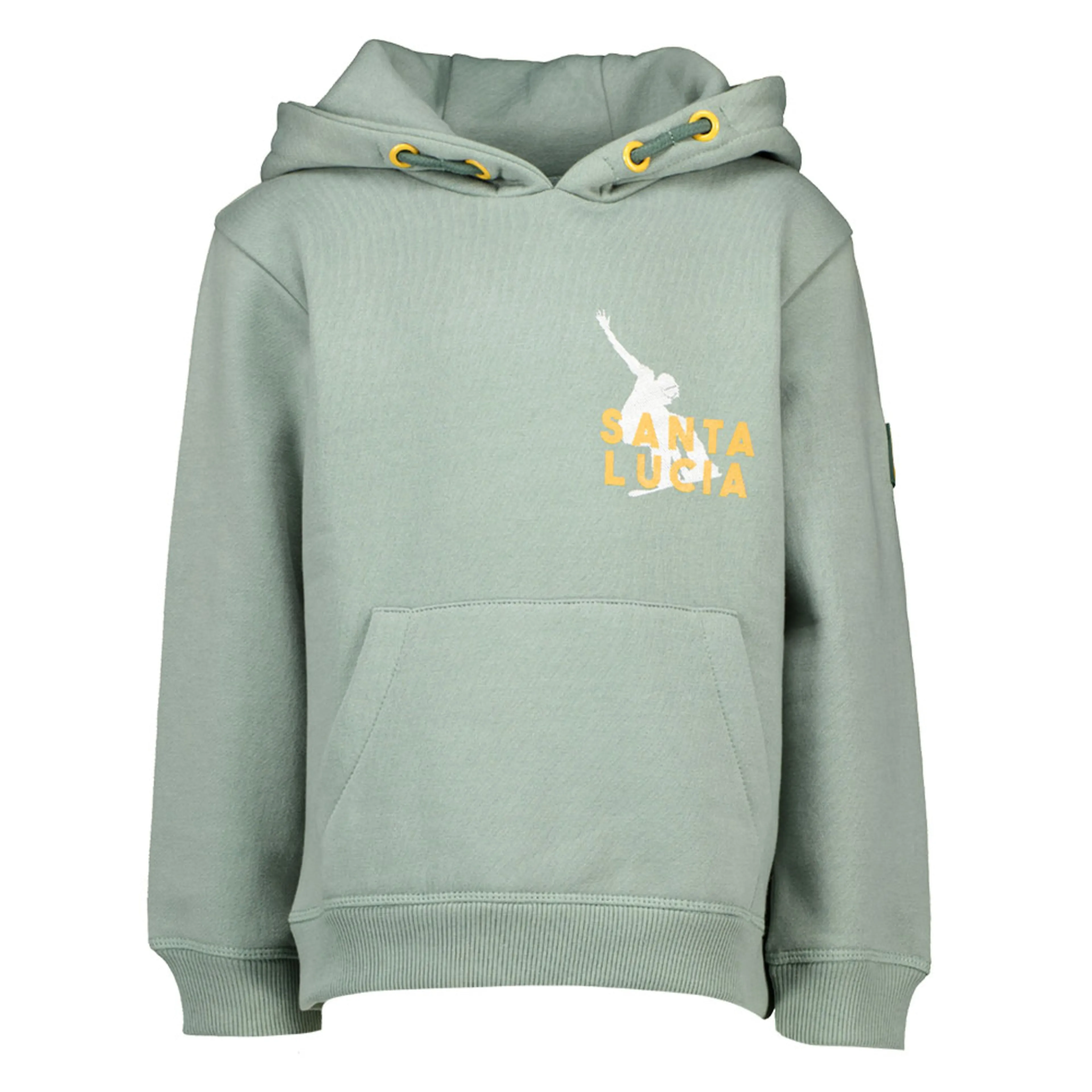 Hoodie - Cinzento