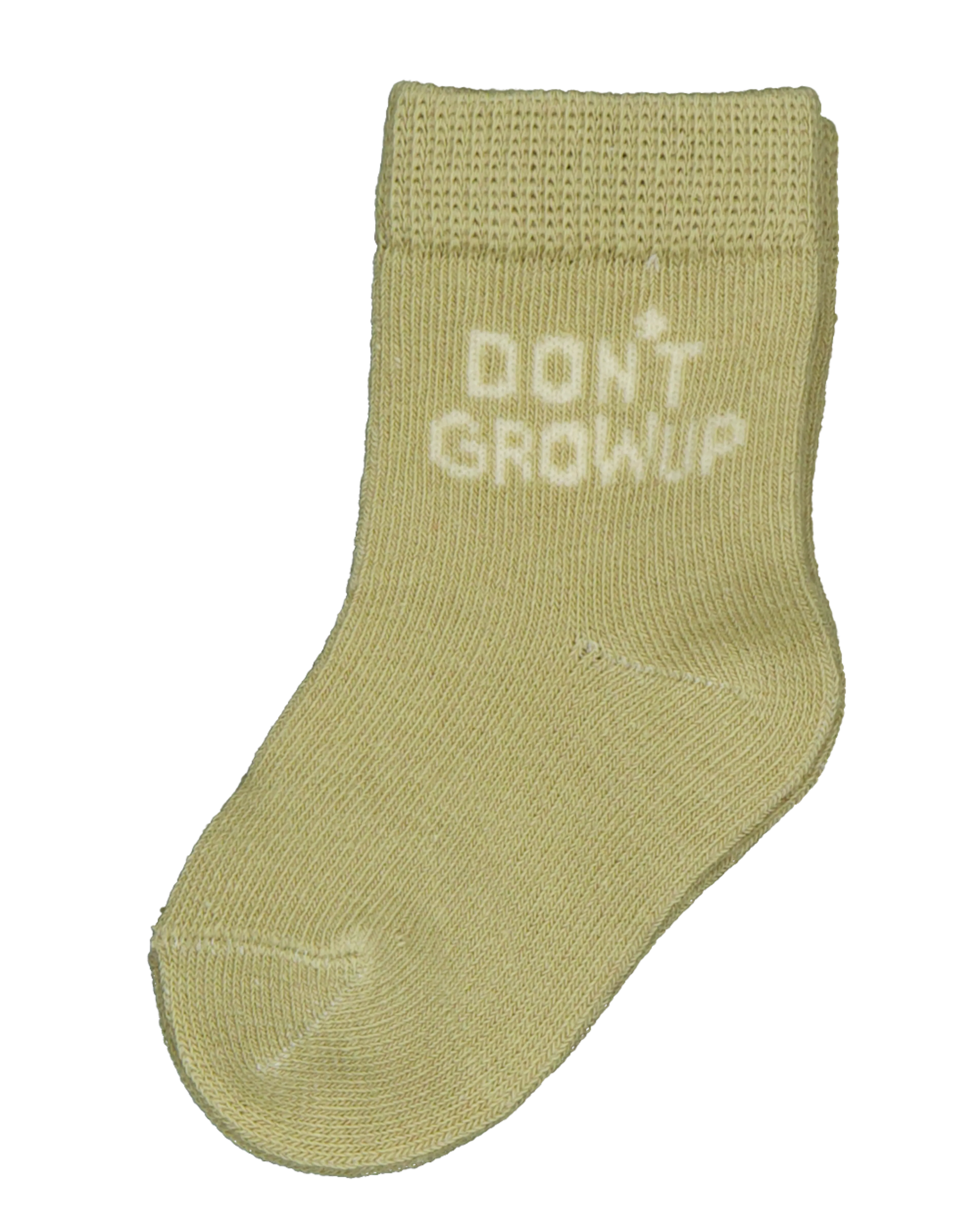 2008051990170_Front04.png