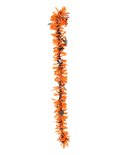8720877366604_124883-2_Front_1.png
