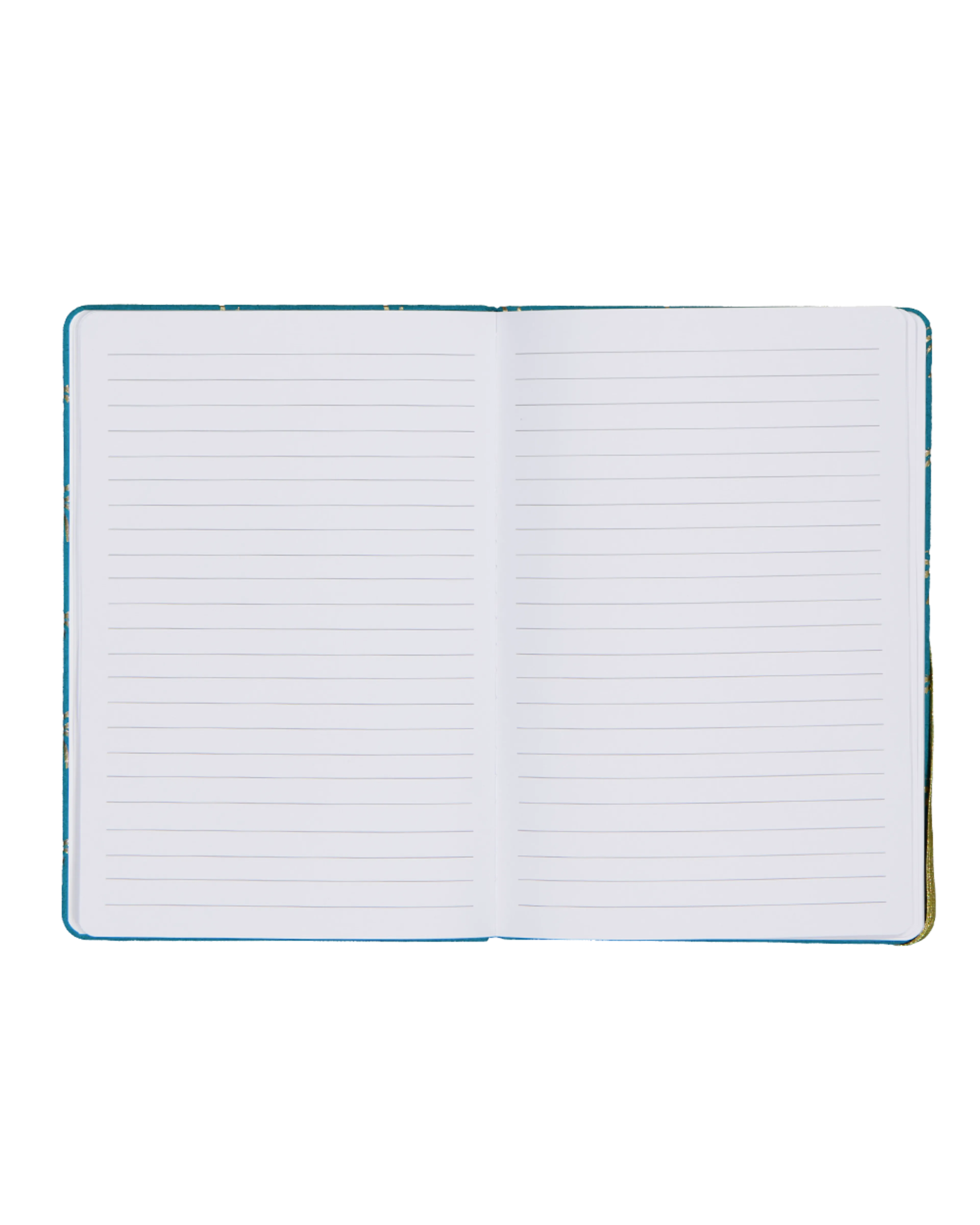 2099960972890_Front02.png