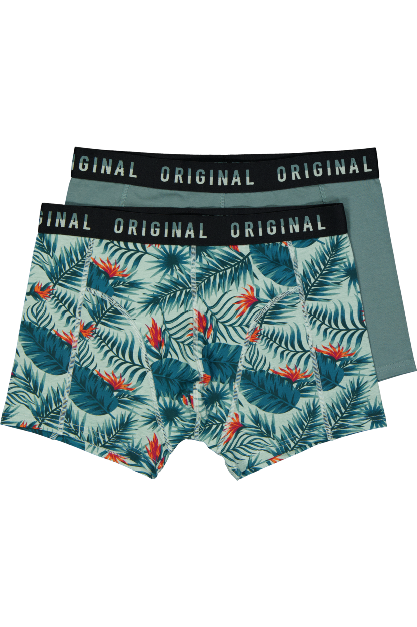 Boxer - Groen