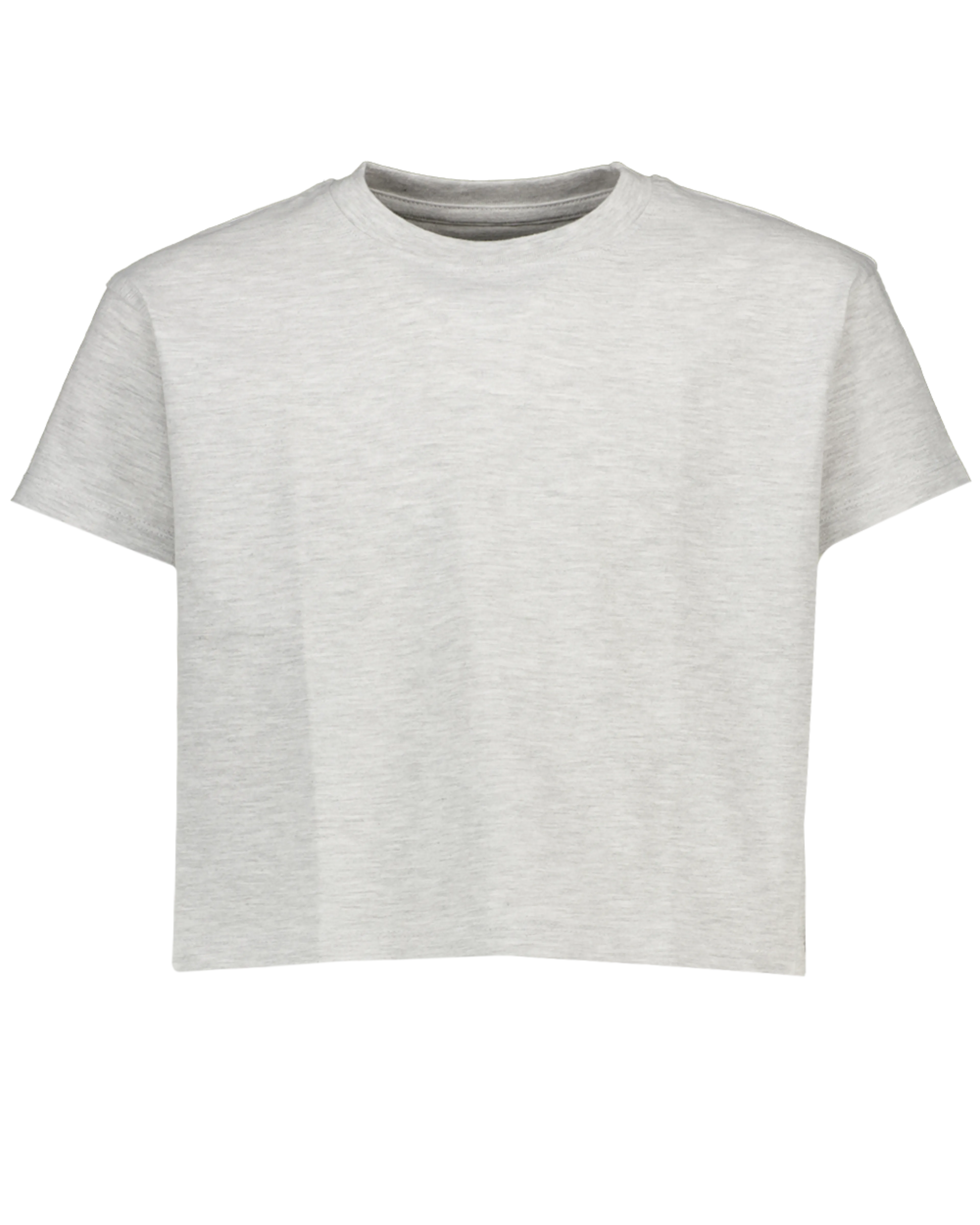 Tee-shirt - Gris