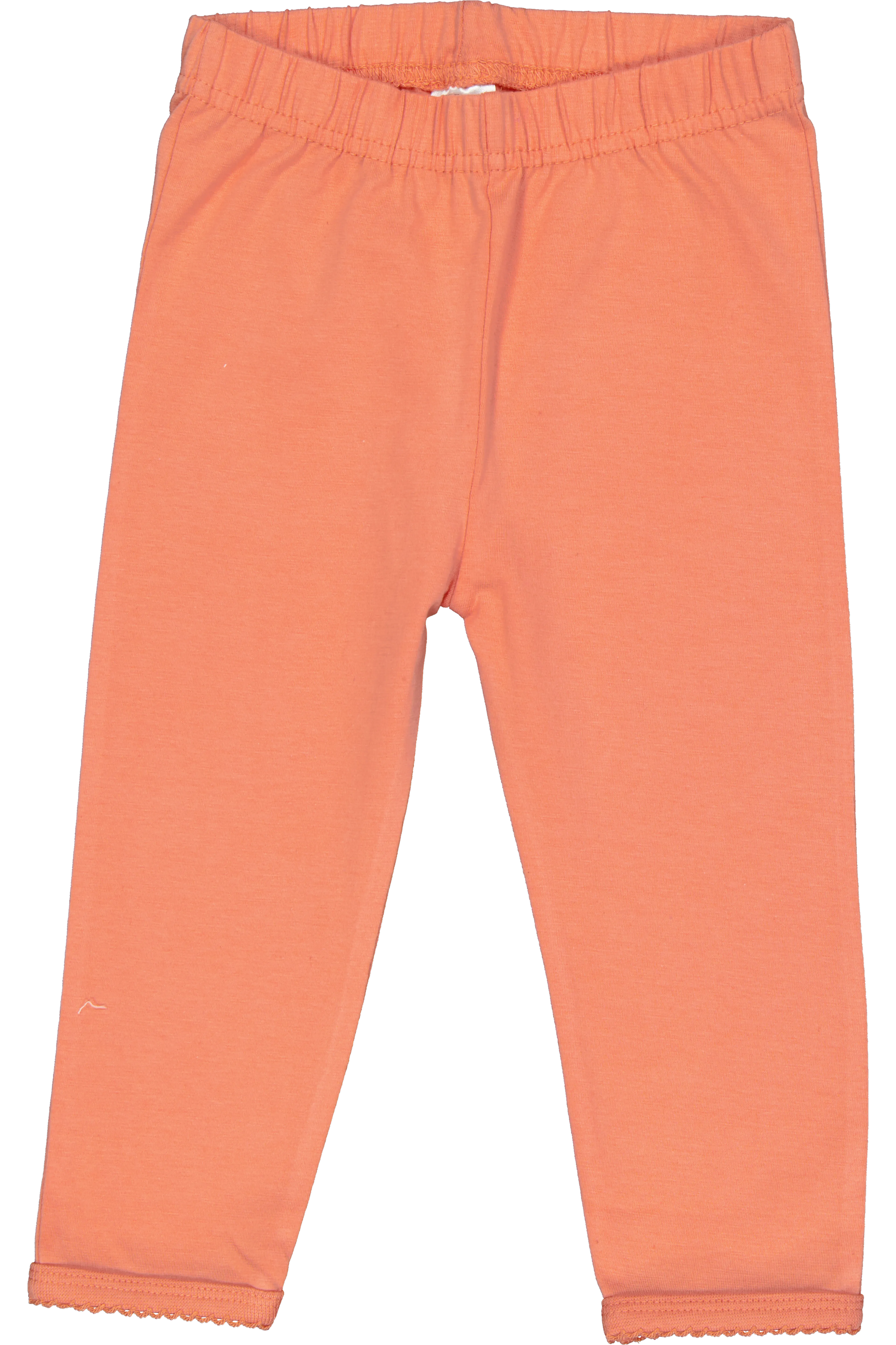 8720877271731_Front_3.png