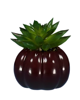 8720877338052_124325-3_Front_1.png