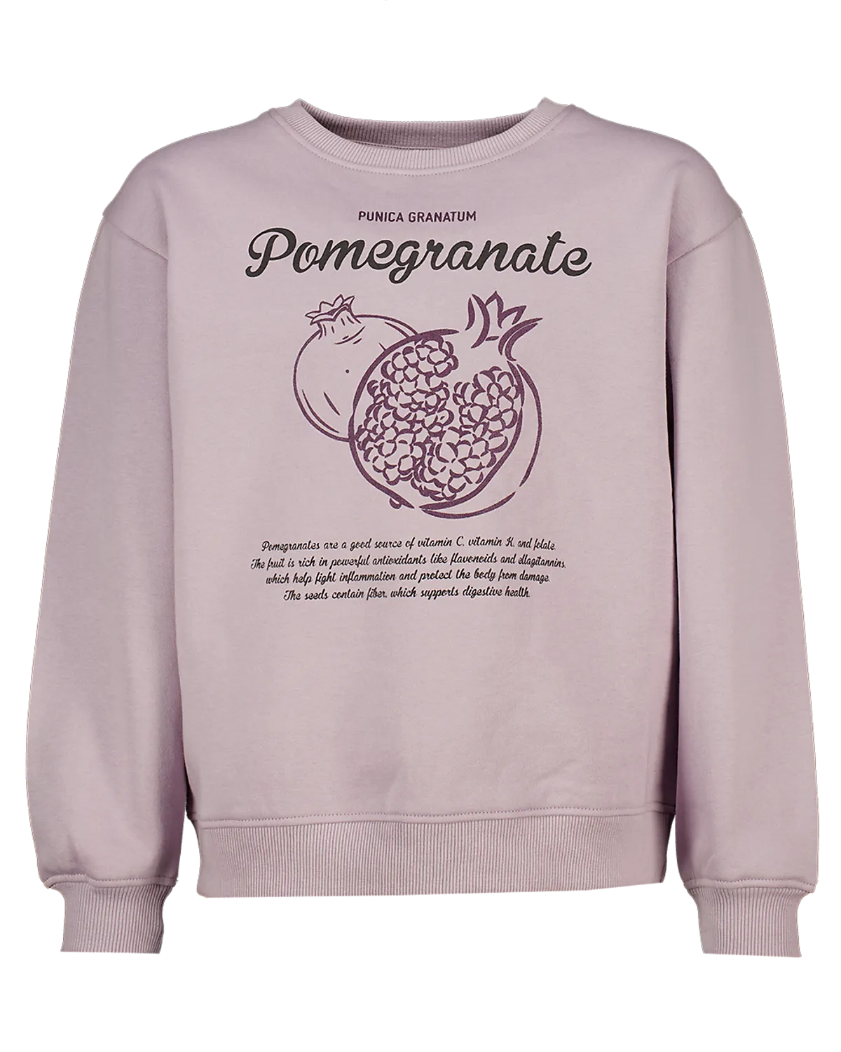 Sweater - Paars