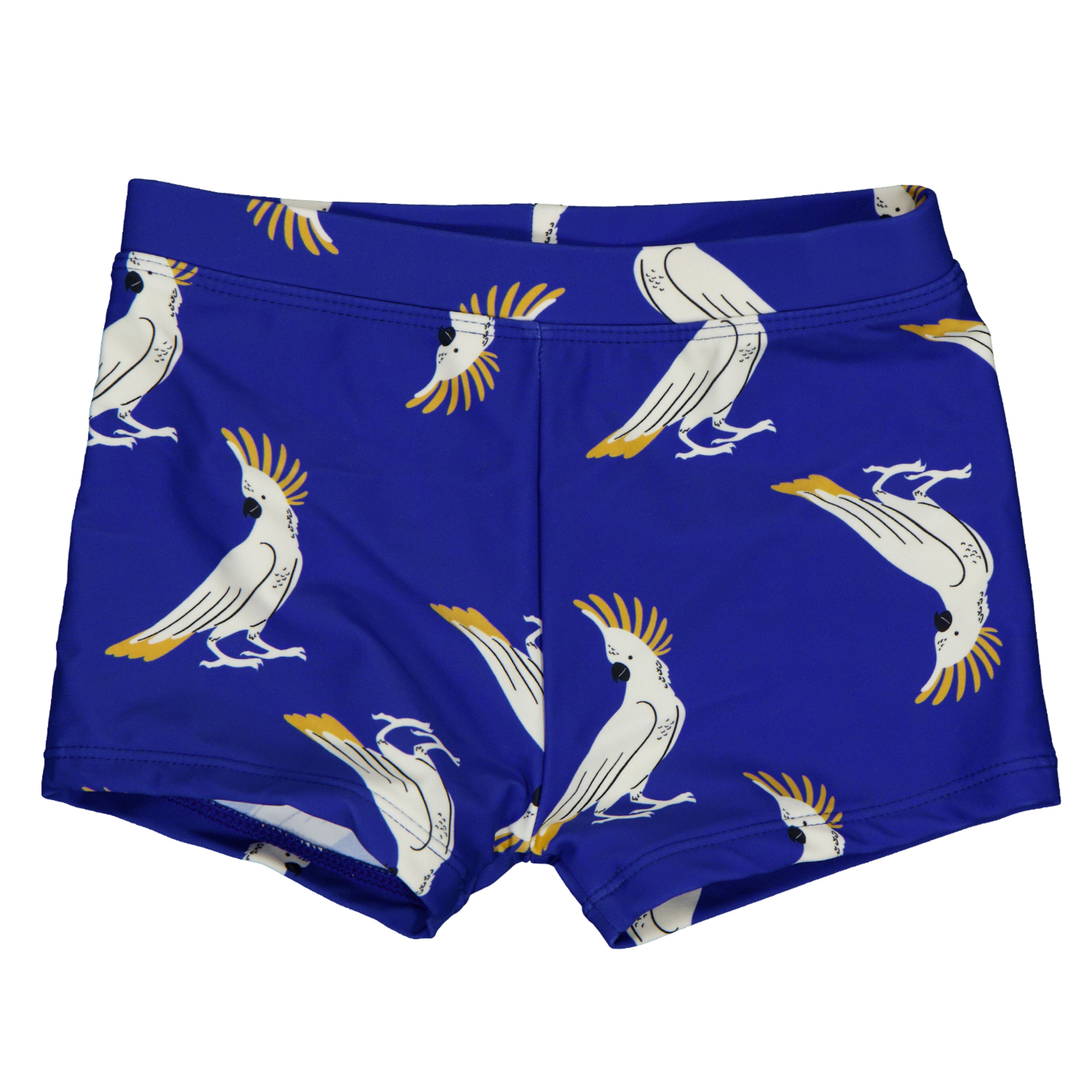Zwemboxer Blauw
