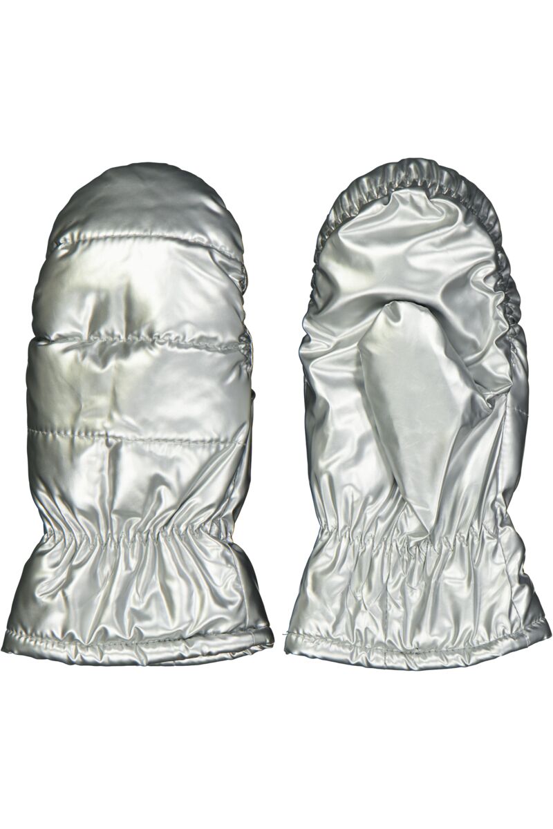 Handschoenen - Zilver