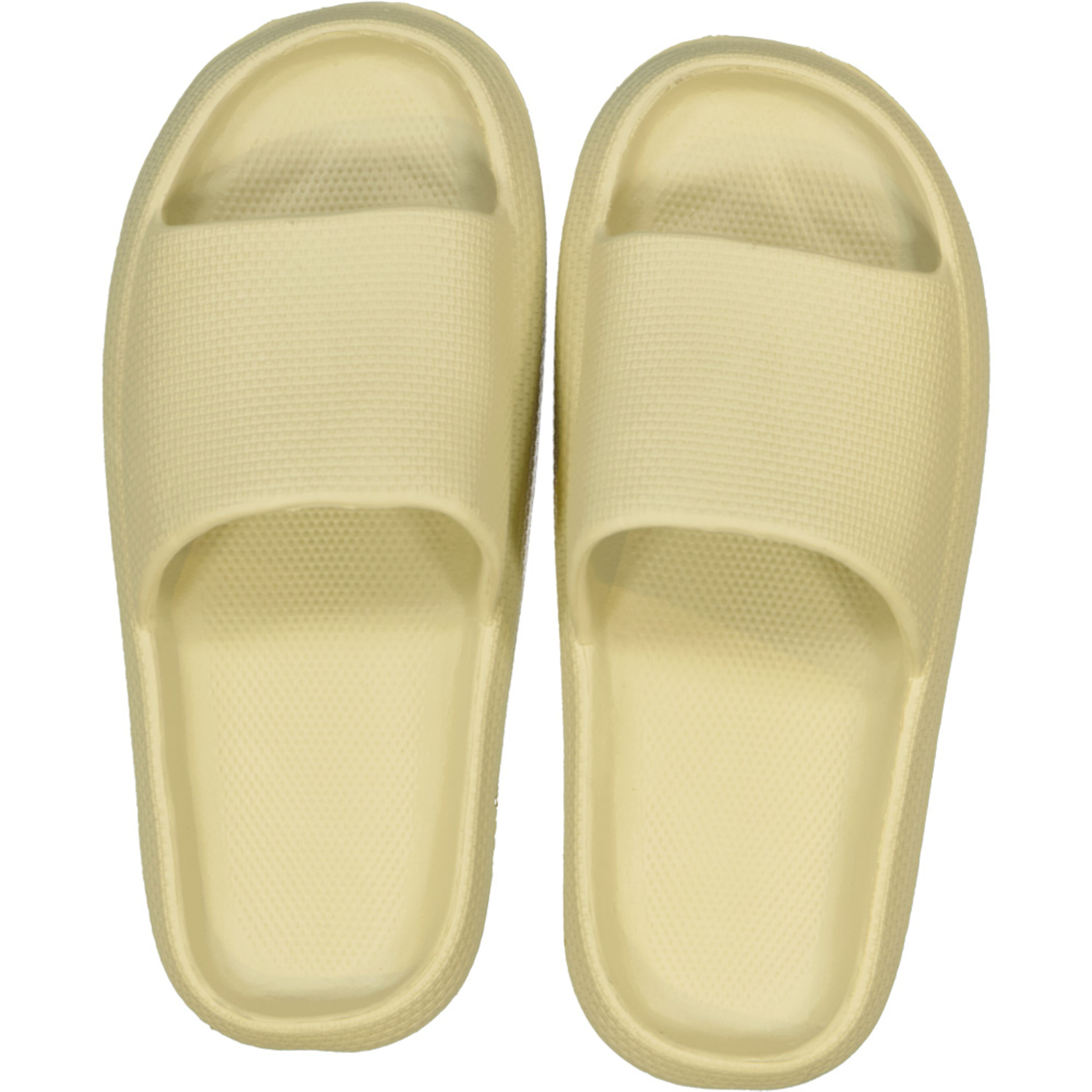 2003773270005_Front.jpg
