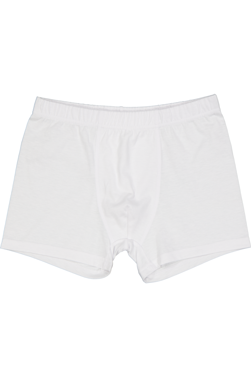 Boxer - Wit